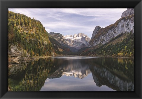 Framed Nature&#39;s Beauty Print