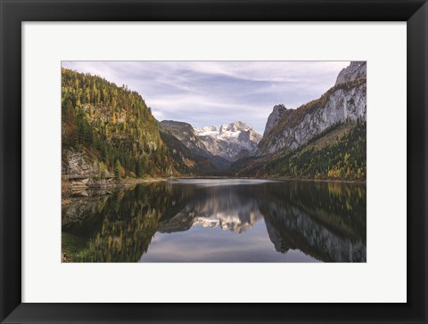 Framed Nature&#39;s Beauty Print