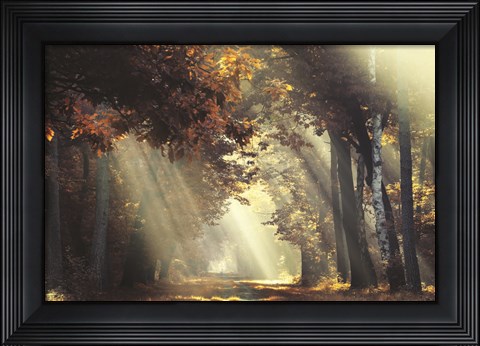 Framed Sunrays Print