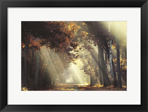 Framed Sunrays Print