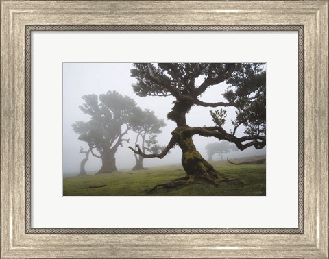 Framed Forest Queen I Print