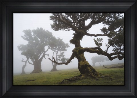 Framed Forest Queen I Print