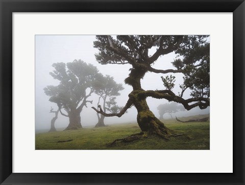 Framed Forest Queen I Print