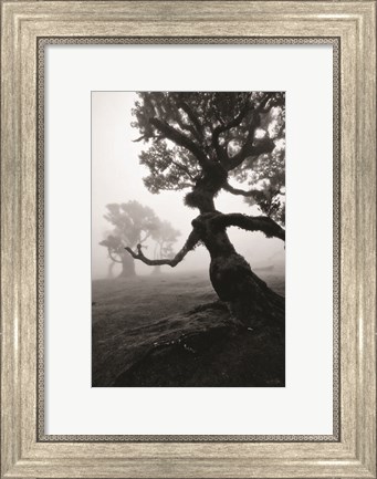 Framed Forest Queen II Print