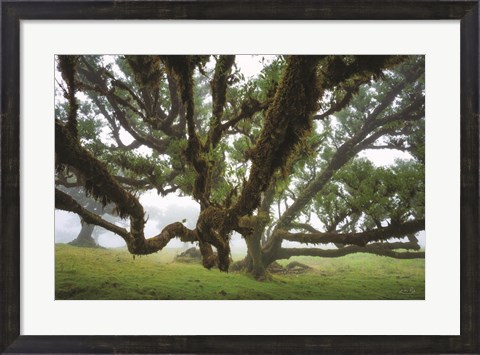 Framed Reaching Out Print