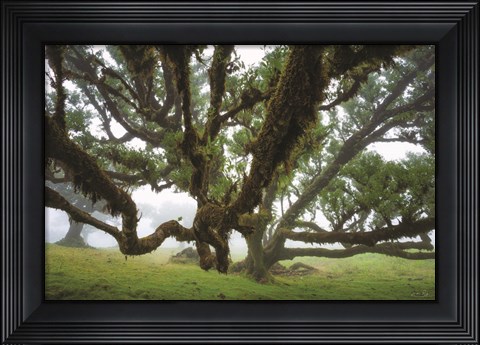 Framed Reaching Out Print