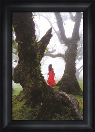 Framed Lady in Red Print