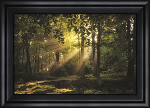 Framed Bridge to the Light Print
