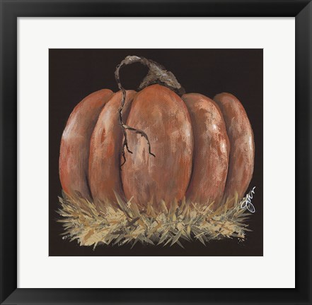 Framed Pumpkin Study Print