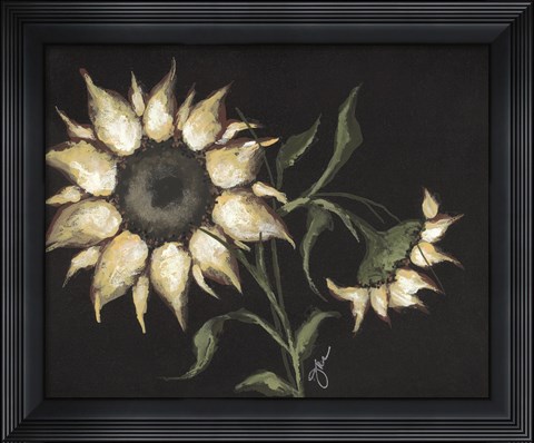 Framed Sunflower on Black Print