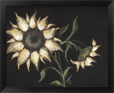 Framed Sunflower on Black Print