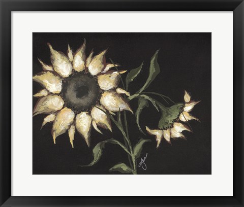 Framed Sunflower on Black Print