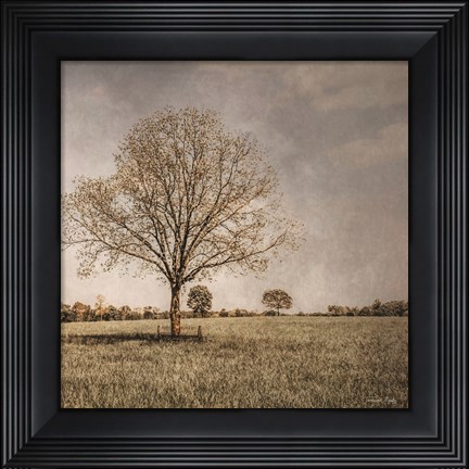 Framed Spring Awakening Print