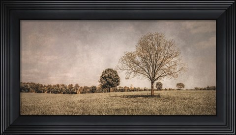 Framed Spring in the Fields Print