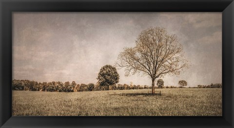 Framed Spring in the Fields Print