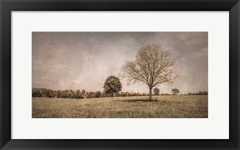 Framed Spring in the Fields Print