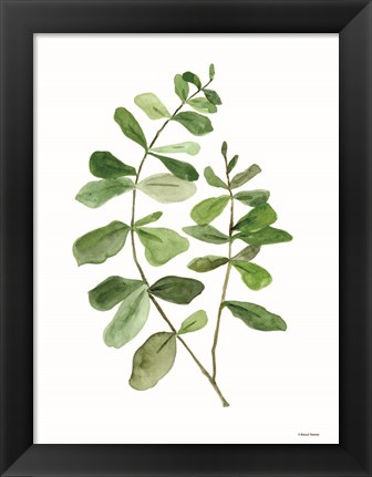 Framed Leafy Stem 2 Print