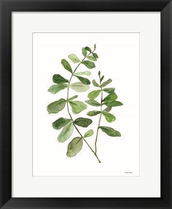 Framed Leafy Stem 2 Print