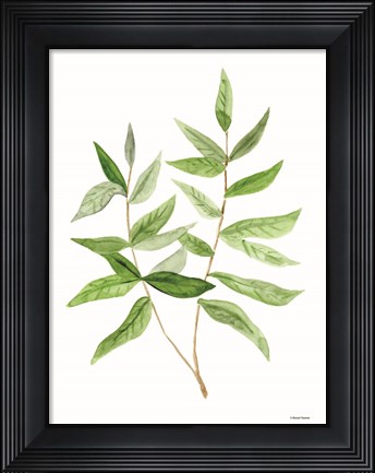 Framed Leafy Stem 3 Print