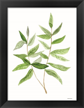 Framed Leafy Stem 3 Print