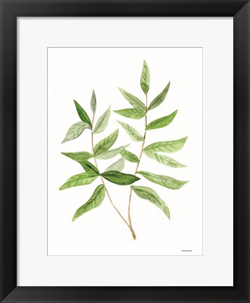 Framed Leafy Stem 3 Print