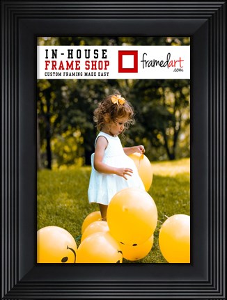 Framed Modern 13x9 Picture Frame Print