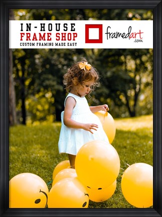 Framed Modern 32x44 Picture Frame Print