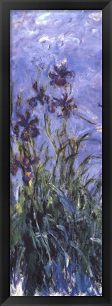 Framed Irises Print