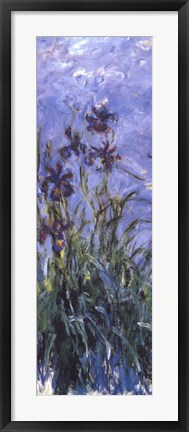 Framed Irises Print