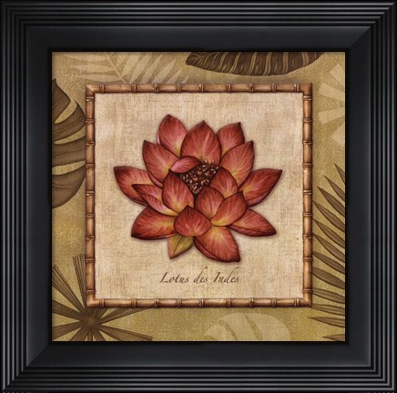 Framed Paradisio III Print
