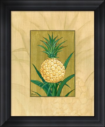 Framed Sugar Loaf Pineapple Print