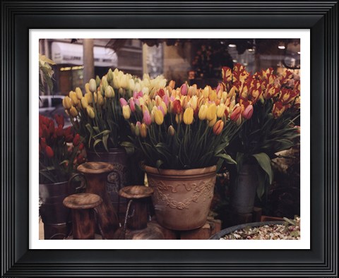Framed Tulips, Paris Print
