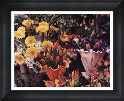 Framed Flowers, Florence Print