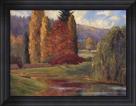 Framed Nature's Splendor I Print
