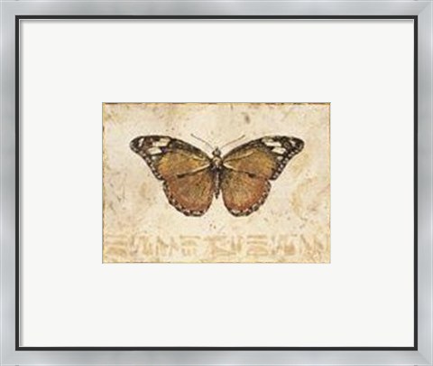 Framed Butterfly V Print