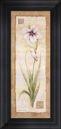 Framed Gladiola Print