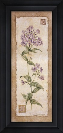 Framed Phylox Print