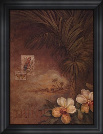 Framed West Indies Sunset II Print