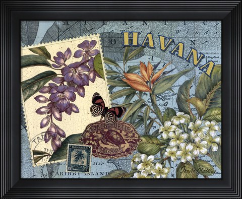 Framed Havana Print