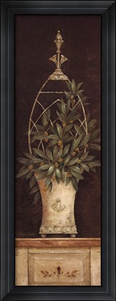 Framed Olive Topiary II Print