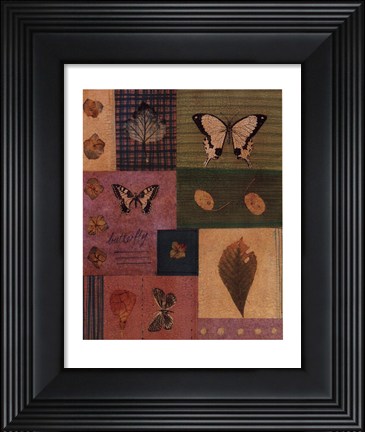 Framed Butterflies II Print