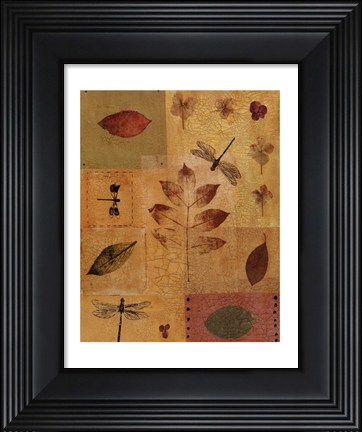 Framed Dragonflies I Print