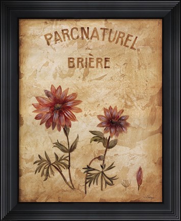 Framed Parcnaturel I Print