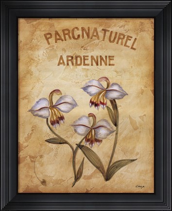 Framed Parcnaturel II Print