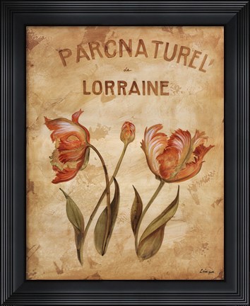 Framed Parcnaturel III Print