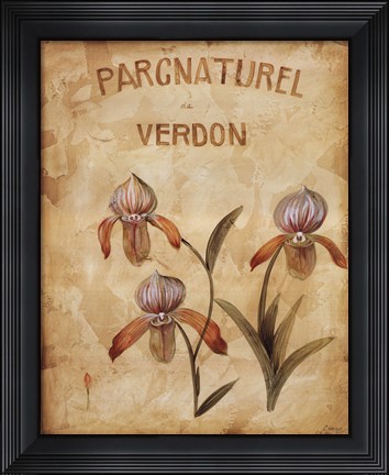 Framed Parcnaturel IV Print
