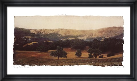 Framed Vineyard and Oak II Print