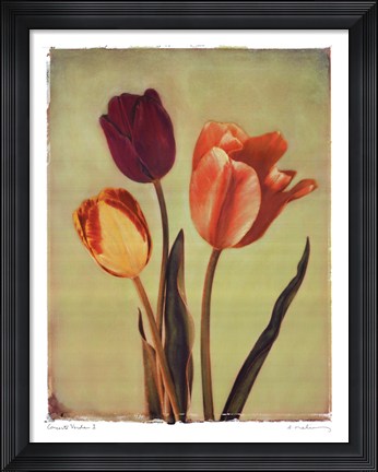 Framed Concerto Verde I Print