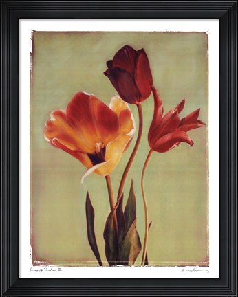 Framed Concerto Verde II Print