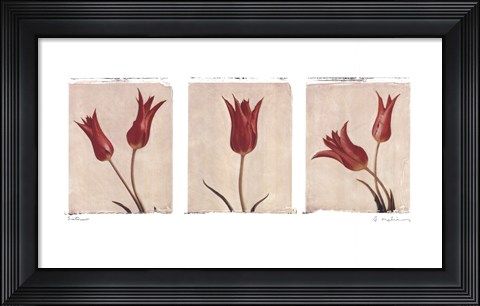 Framed Sisters Print